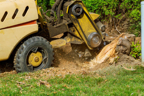 Residential Tree Removal in Brockway, PA